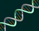 Detección Mutua Entre Genes Sin Mediación de Biomoléculas